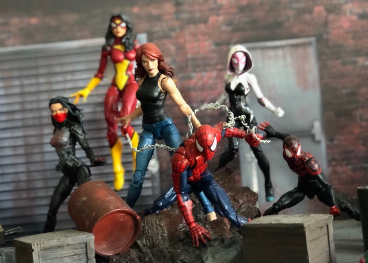 Marvel Legends Collection: Spidey and Friends